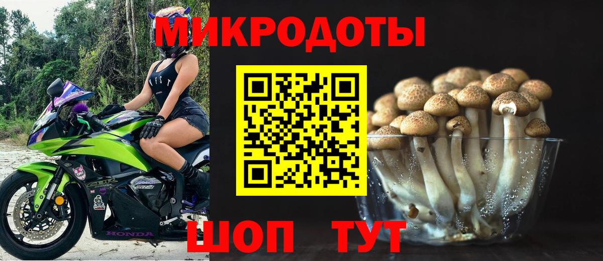 Калач-на-Дону  Галлюциногенные грибы Psilocybe  Вход с VPN 