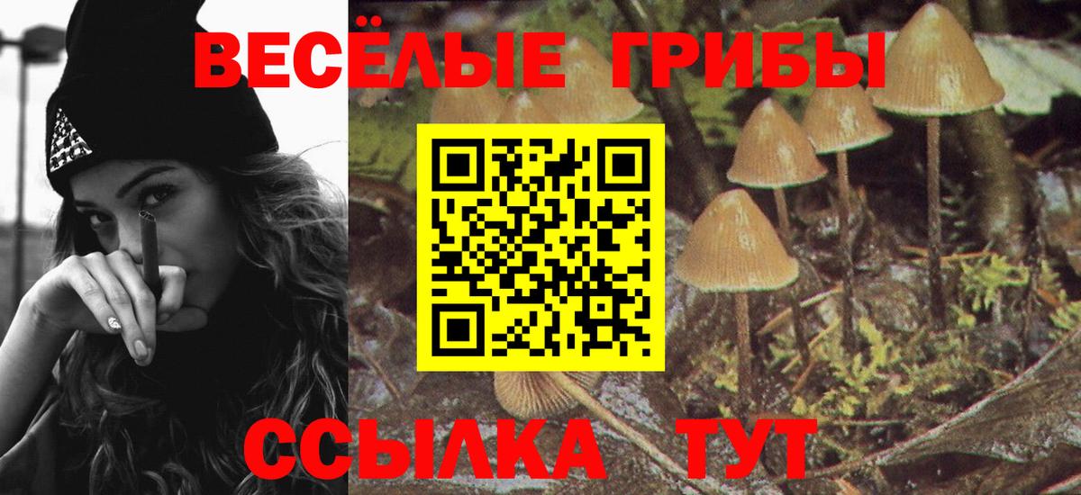 Псилоцибиновые грибы мухоморы Калач-на-Дону